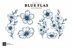 Blue Flax Flower Hand Drawn Illustra