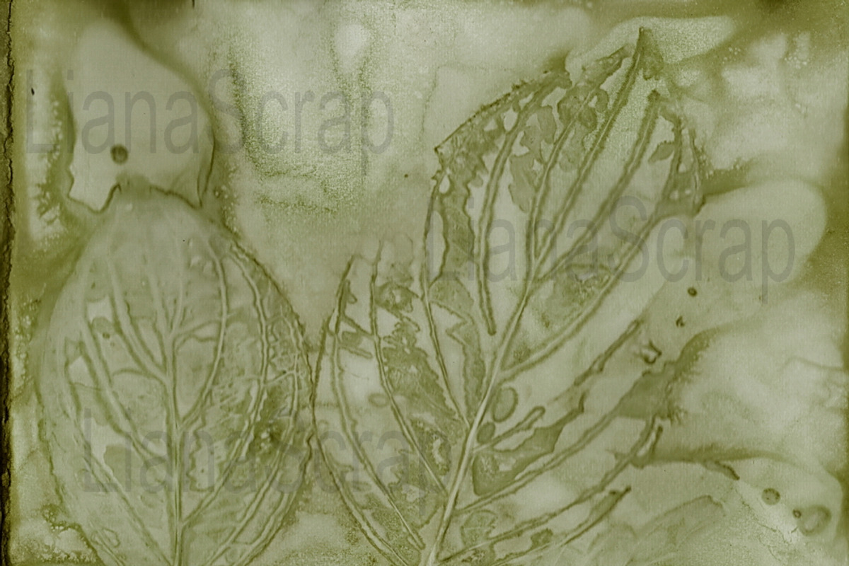 36 ECO Dyed paper - Forest Floor, a Texture Graphic by LianaScrap (Photo 19 of 19)