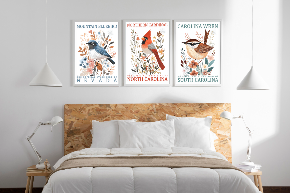 50 US State Birds Poster Bundle, a Decorative Illustration by Genius Graph (Photo 3 of 6)