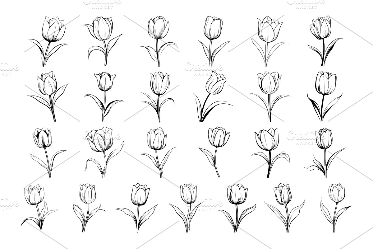 50 Tulips Procreate Stamps Brushes, a Brush Add-On by Procreate Sale (Photo 5 of 6)