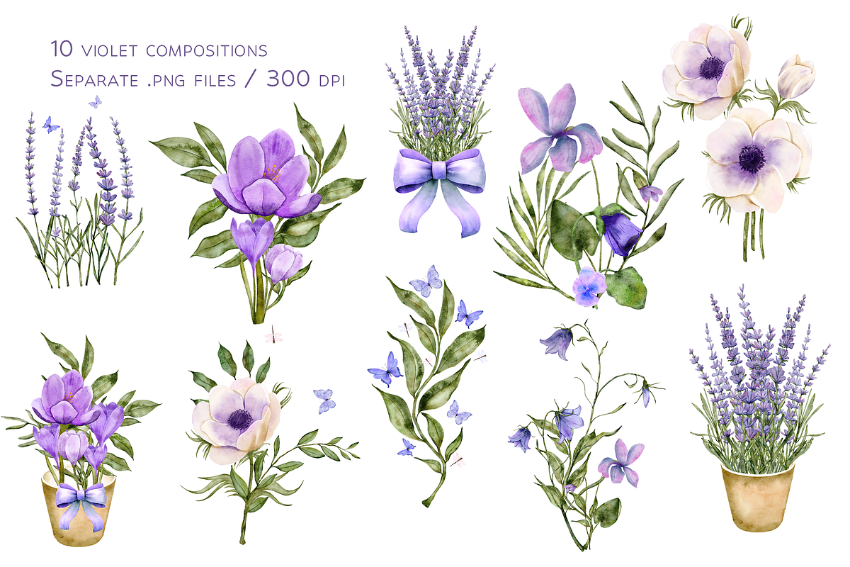 In Violet Watercolor Set, a Decorative Illustration by Aurella Art (Photo 5 of 17)