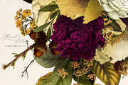 Ethereal Autumn Floral Bouquets, an Illustration by Eclectic Anthology (Thumbnail 7 of 12)