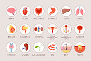 Human internal organs illustration, a Healthcare Illustration by Neliakott ♥ (Thumbnail 6 of 7)