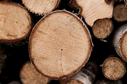 Wood pile containing wood pile abstract, wood pile closeup, and wood pile