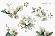 White Orchid Watercolor Clipart, a Decorative Illustration by ThaismotaCreativeCo (Thumbnail 3 of 12)