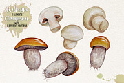 Watercolor Vegetables, Herbs, an Animal Illustration by Graphobia (Thumbnail 9 of 12)