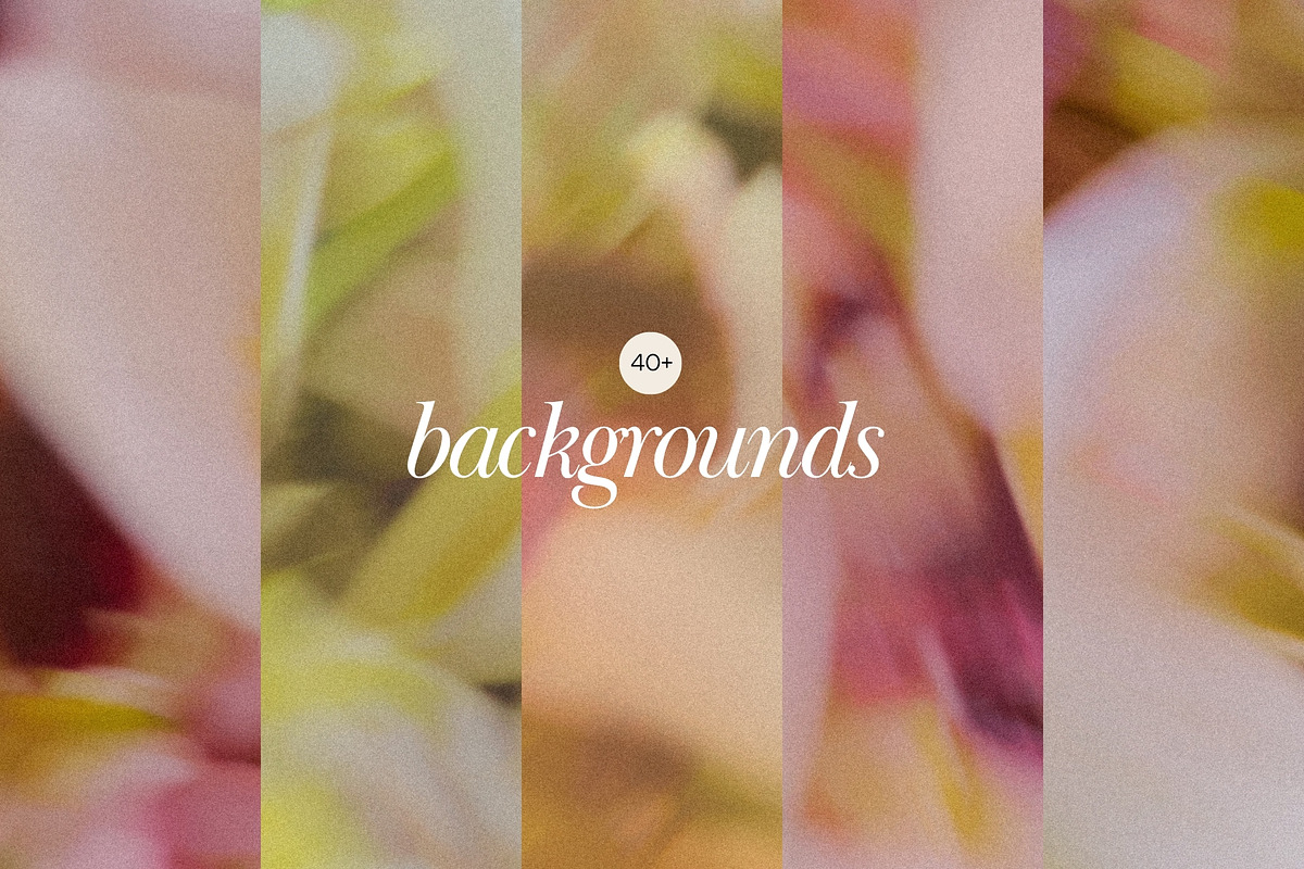 Blur Flower Abstract Backgrounds, a Background Graphic by eclosque (Photo 4 of 27)