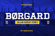 Borgard – Varsity Slab Serif Font, a Slab Serif Font by Vadovastd (Thumbnail 8 of 8)