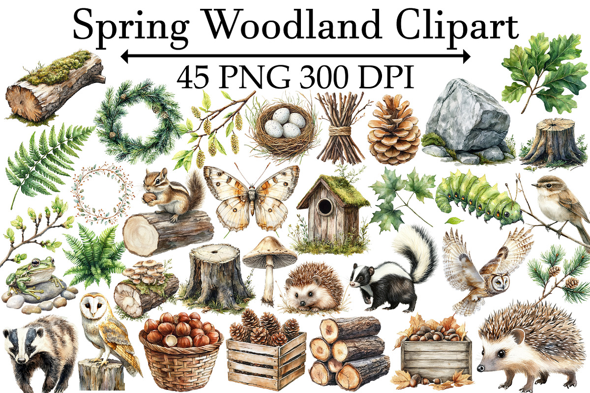 Spring Woodland Clipart, an Illustration by Design Market (Photo 1 of 5)