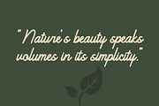 Bashats - Script Monoline Font, a Handwritten Font by twinstd (Thumbnail 7 of 7)