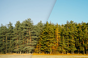 Lightroom Presets - Summer Bundle, an Action Add-On by PhotoMarket (Thumbnail 15 of 29)