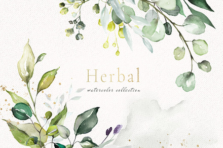 Herbal Watercolor collection, a Work Illustration by Lisima