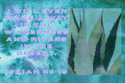 Watercolor Splatter Backgrounds, a Background Graphic by Eryn Rose Design (Thumbnail 8 of 19)
