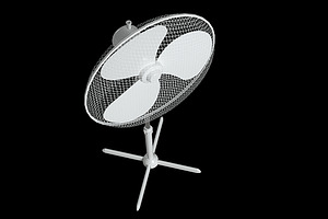 Oscillating Pedestal Fan