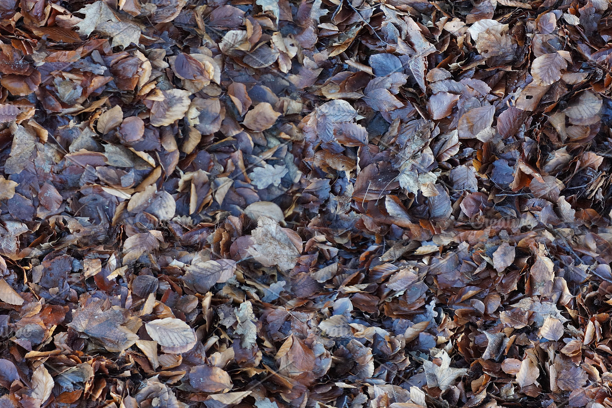 Background textiles autumn leaves, a Background Photo by MartinShop (Photo 3 of 3)