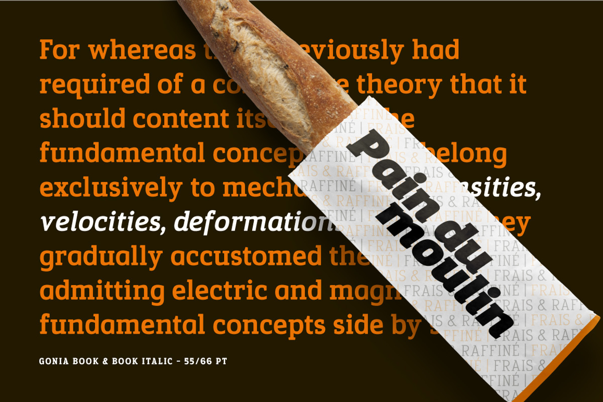 Gonia, a Slab Serif Font by Typogama (Photo 8 of 15)