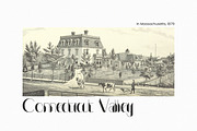 Louis Carpe Modern Display, a Font by infernostudio3 (Thumbnail 7 of 10)