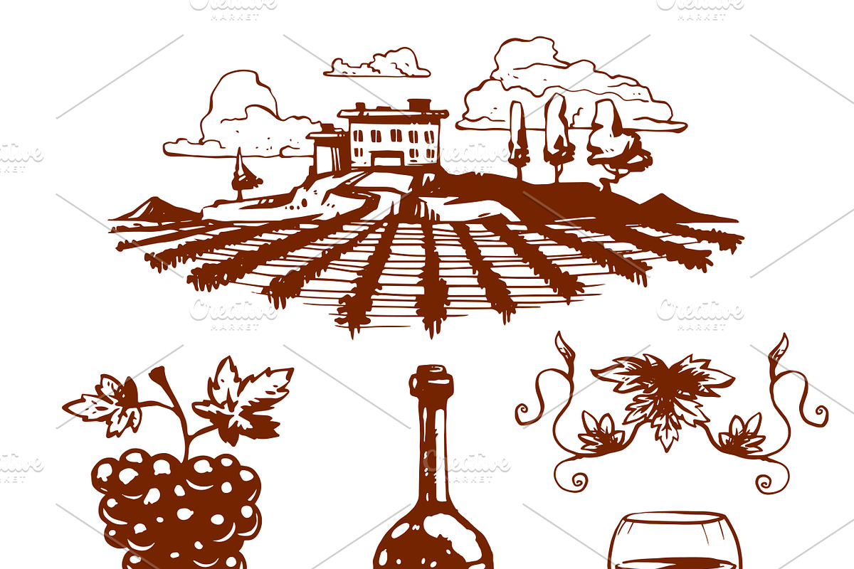 Vinery grape agriculture vector, a Food Illustration by Vectorstockersland