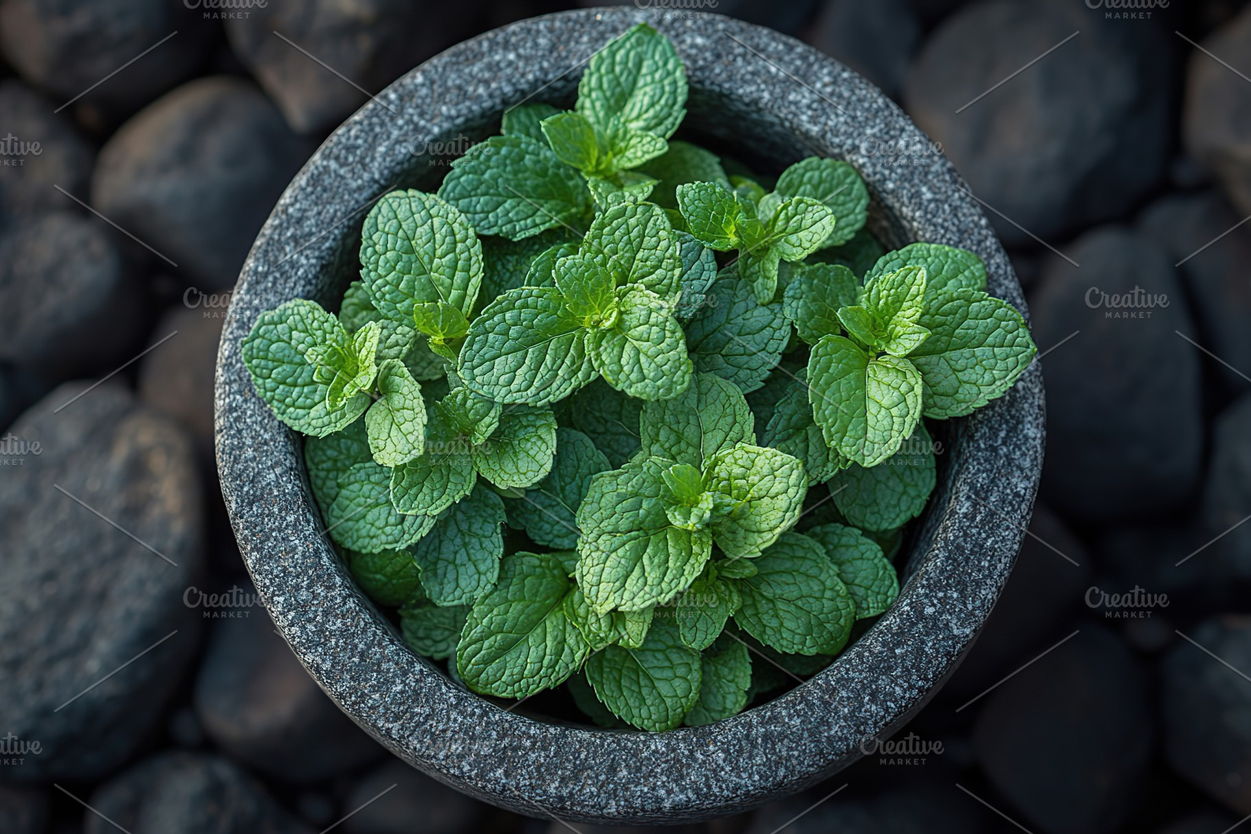 Green mint leaves in modern stone mortar, a Food & Drink Photo by AlyaAnd
