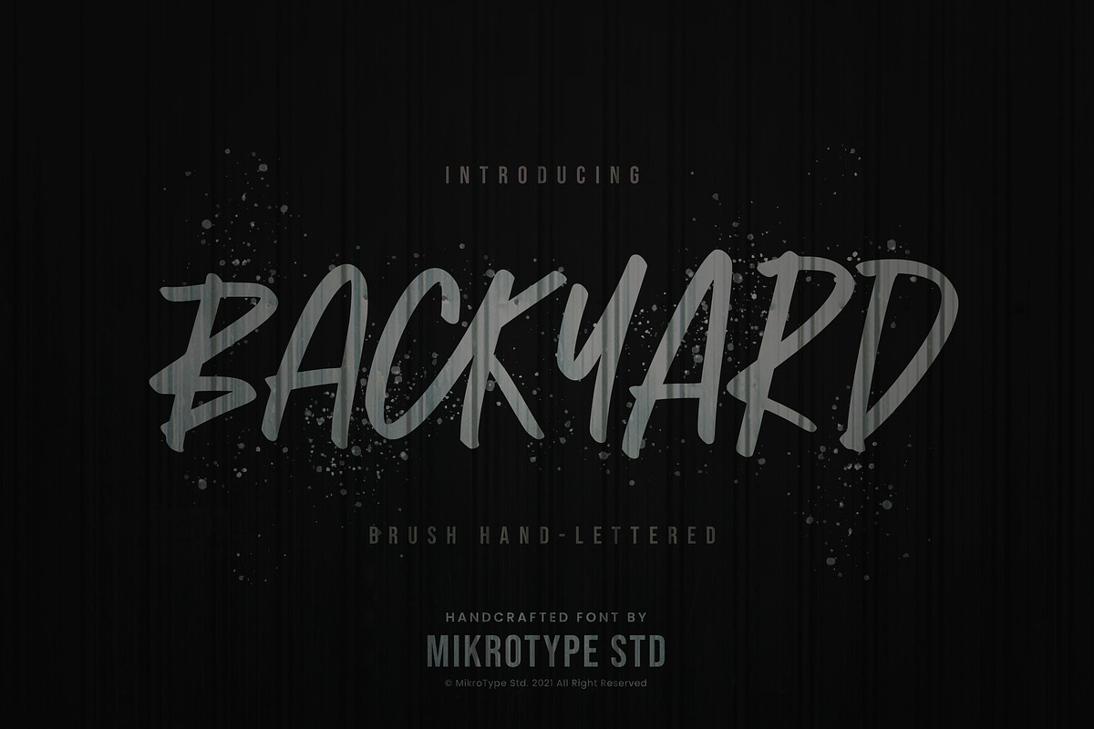 Backyard Natural Business Font, a Sans Serif Font by MikroType Std (Photo 1 of 9)
