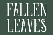 Molvicc Decorative Display Typeface, a Serif Font by Maulana Creative (Thumbnail 3 of 7)