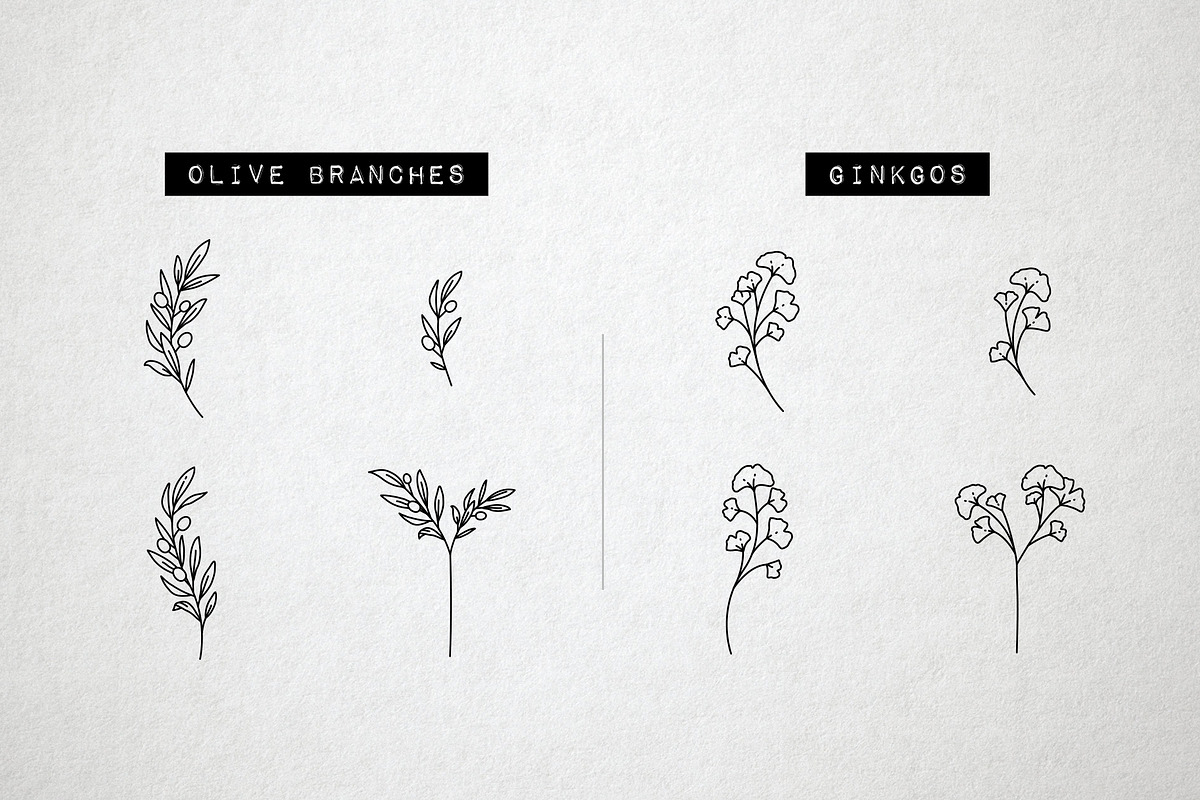 60 Flower and Floral Icons - Vol 2, an Outline Icon by Hatch Design Workshop (Photo 4 of 10)
