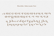 Rochie - Bold Retro Serif Font, a Serif Font by Sronstudio (Thumbnail 3 of 12)