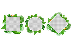 Summer tropical leaves and flowers, an Object Illustration by Vectorbuum