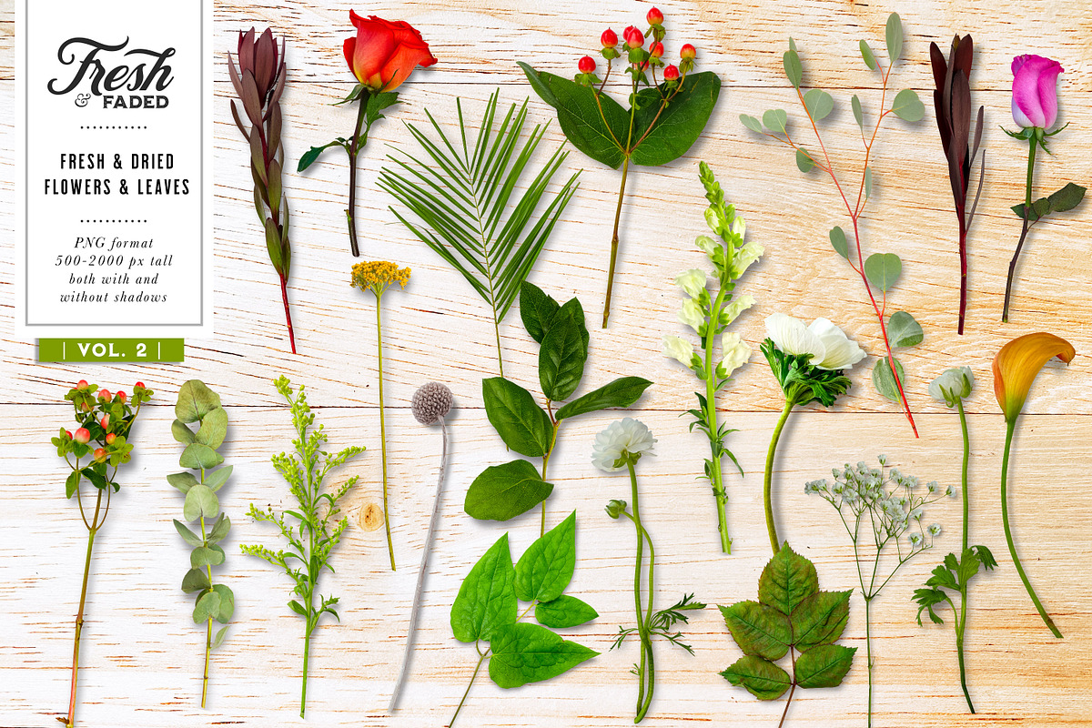 Fresh & Dried Floral Flay Lay Vol 2, a Product Mockup by Eclectic Anthology (Photo 6 of 7)
