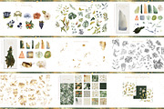 The Amazing Watercolor Bundle, an Object Illustration by Creativeqube Design (Thumbnail 71 of 75)