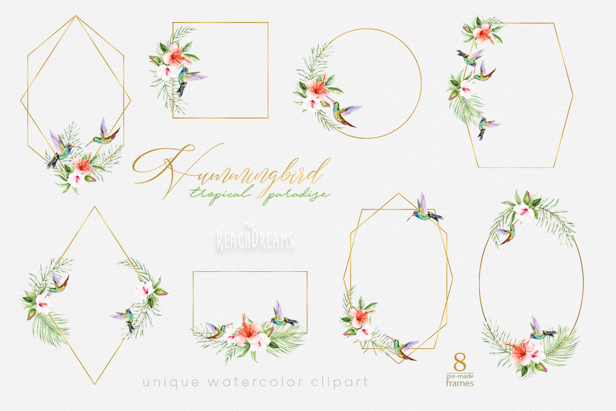 Hummingbird Birds Collection, an Illustration by ReachDreams (Photo 3 of 6)