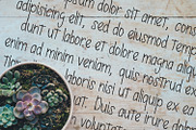 Decafe Font with Ruling Pen Texture, a Script Font by Arendxstudio (Thumbnail 4 of 8)