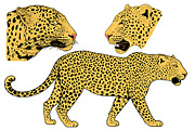 LEOPARD, an Animal Illustration by Tanya Akhmett (Thumbnail 4 of 9)
