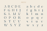 Aelyn - Ligature Serif Font, a Serif Font by Surplus Type Co (Thumbnail 2 of 12)