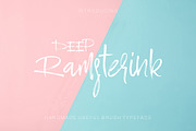 Ramsterink Script  Brush Font, a Script Font by Design Dukkan (Thumbnail 1 of 9)