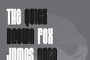Mandoline, a Font by Alt Foundry (Thumbnail 5 of 8)
