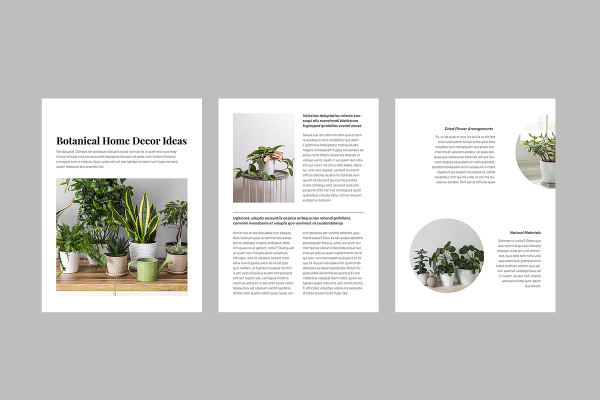 Botanical Guide to Natural Living preview 6