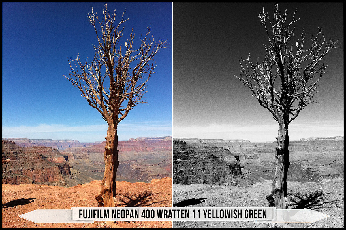 Fujifilm Black and White Film LUTs, a Plug-in Add-On by Raztrend (Photo 22 of 30)