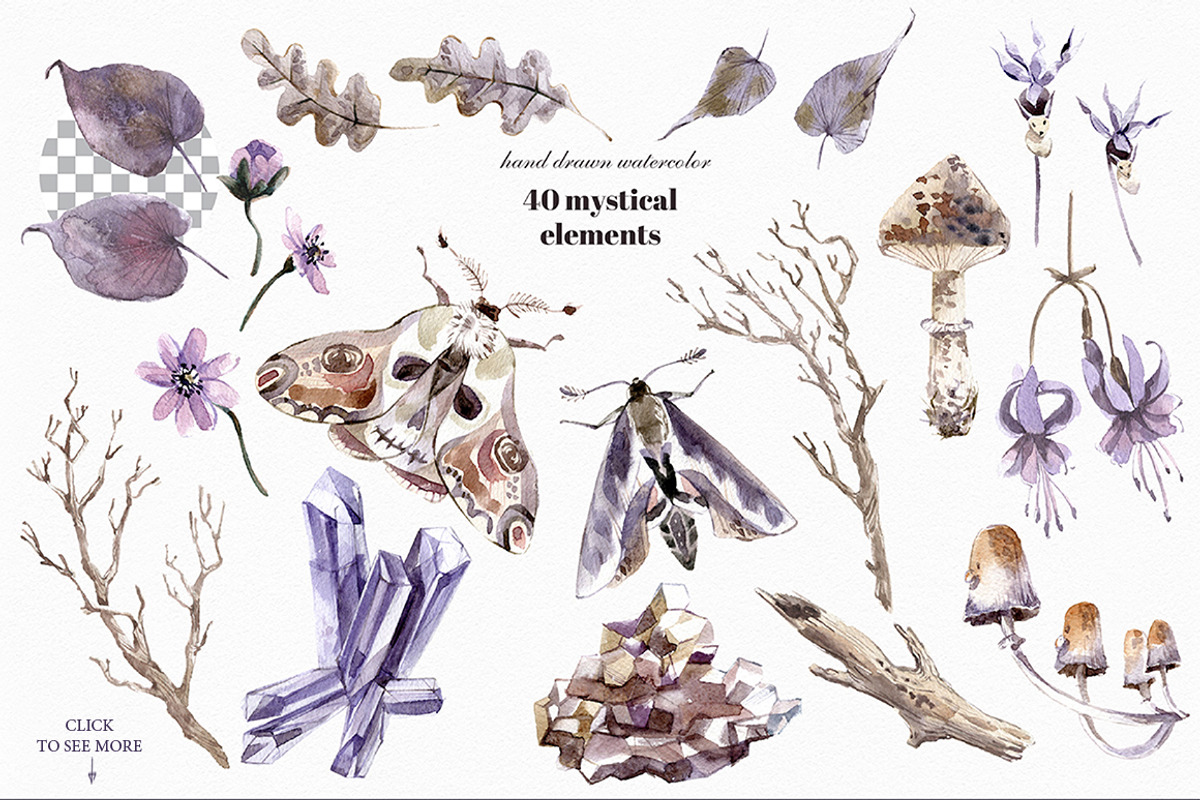 Deep Night Forest graphic kit., an Illustration by Dinkoobraz (Photo 16 of 17)