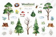 Woodland. Cute forest collection., an Animal Illustration by Kate_Rina (Thumbnail 6 of 15)