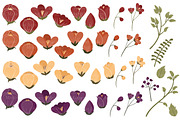 Autumn Floral Vectors & Clipart, an Illustration by Amanda Ilkov (Thumbnail 3 of 3)