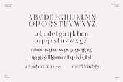 Kalleros Elegant Ligature Serif Font, a Serif Font by Perfectype (Thumbnail 6 of 6)
