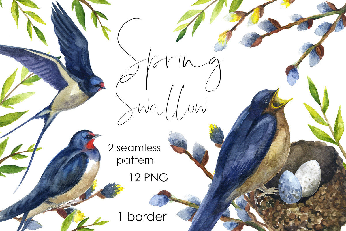 Watercolor bird swallow clipart png, an Animal Illustration by KomtsyanTatyanaArt (Photo 1 of 6)