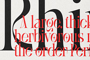 SLTF BOXROOM - Modern Serif Typeface, a Serif Font by SilverStag Type Foundry (Thumbnail 26 of 30)