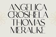 NCL Gasdrifo - Modern Elegant Font, a Sans Serif Font by Enxyclo Studio (Thumbnail 3 of 10)