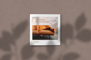 Square Brochure Catalog Mockups