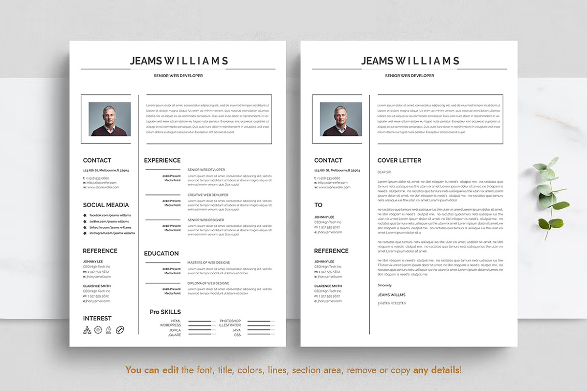 Professional Resume CV Template, a Resume Template by Blackcloud_Creations (Photo 5 of 8)
