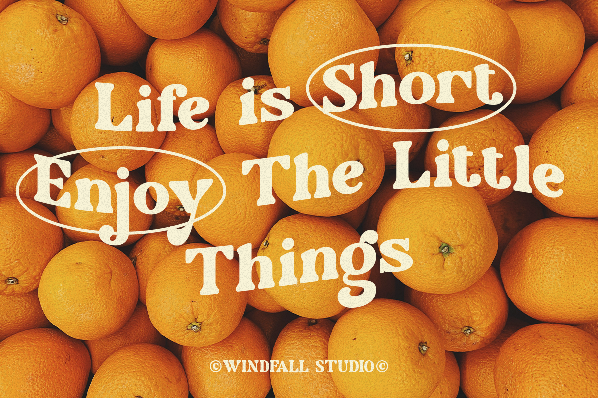 Vacation Paradise - Modern Retro, a Serif Font by Windfall Co (Photo 8 of 10)