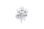 Cotton set, a Decorative Illustration by handsketched (Thumbnail 10 of 15)