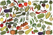 Vector vegetables, an Illustration by risovanya (Thumbnail 4 of 4)